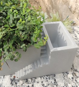 Beton Merdivenli Saksı Tasarım trachelospermum TAFLAN bitkili